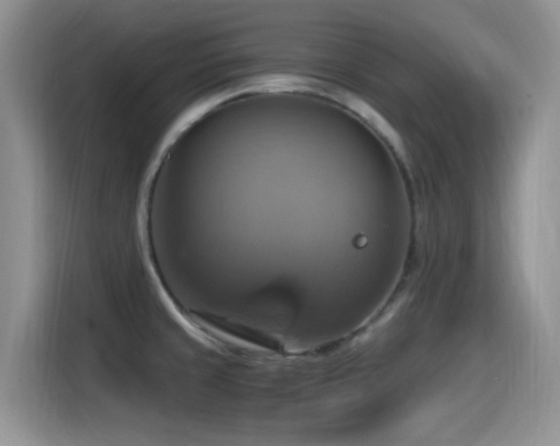 X0000115561429200911061544