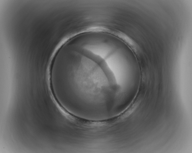 X0000115561430200911061544