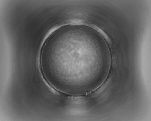 X0000115561432200911061544