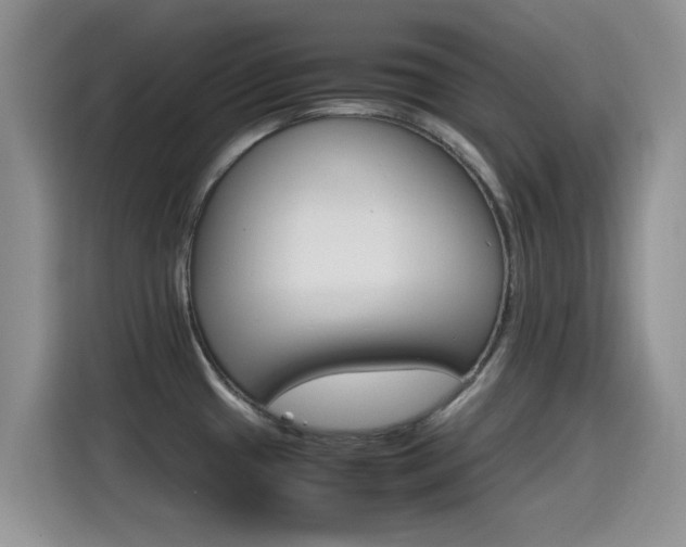 X0000115561433200911061544