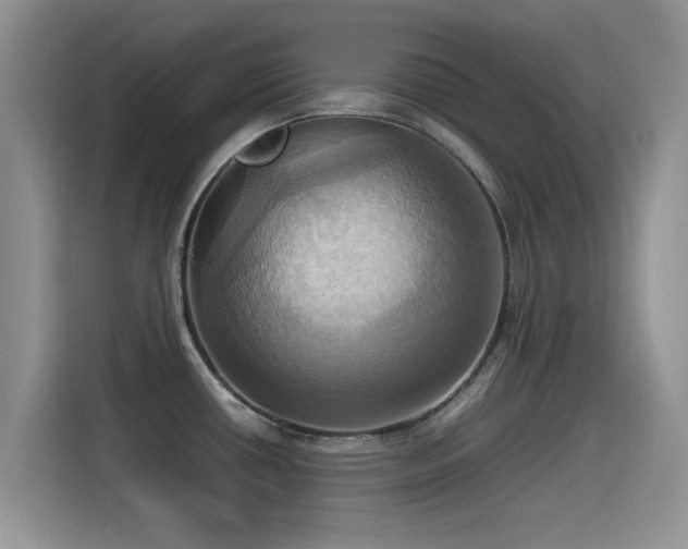 X0000115561434200911061544