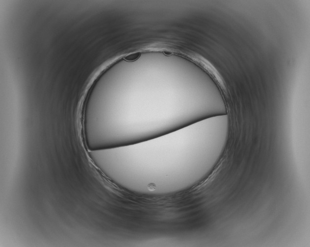 X0000115561435200911061544