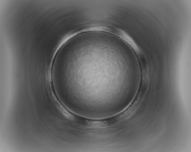 X0000115561436200911061544