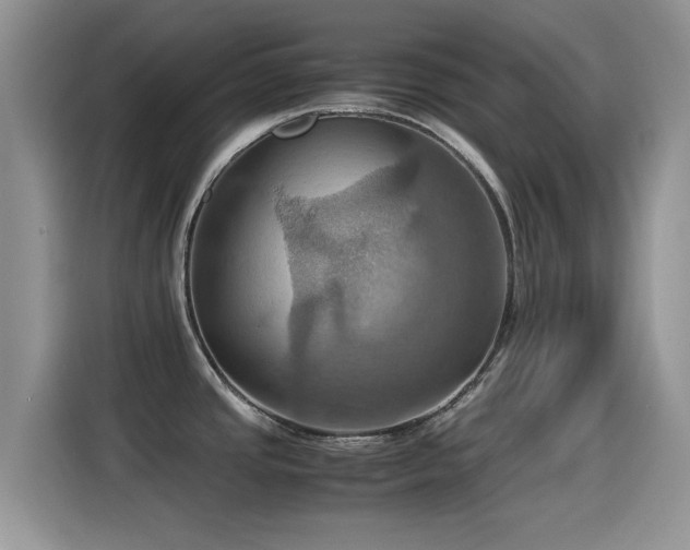 X0000115561437200911061544