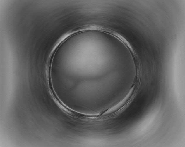 X0000115561438200911061544