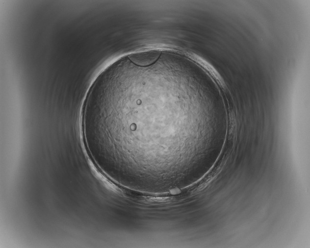 X0000115561439200911061544