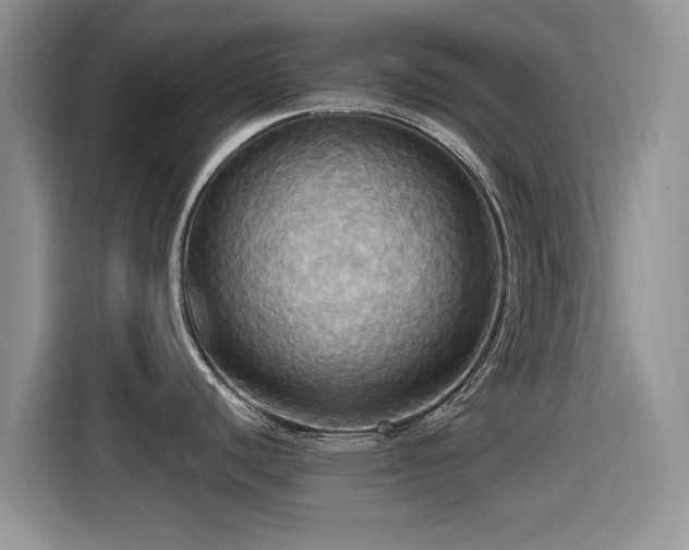 X0000115561440200911061544