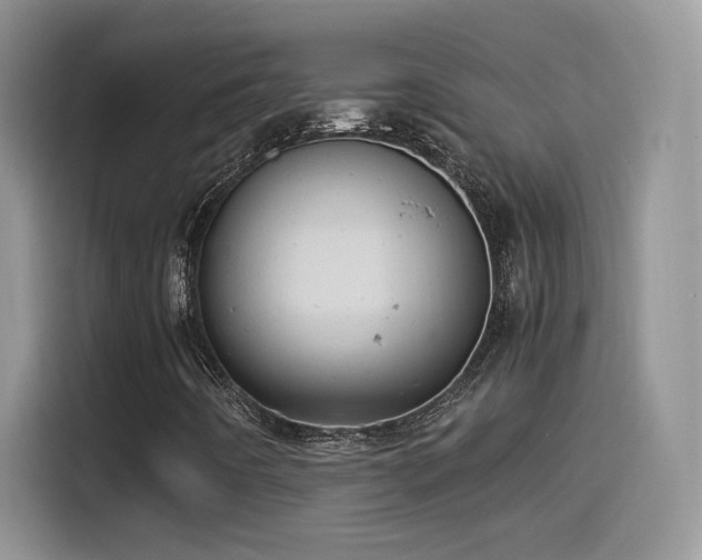 X0000115561442200911061544