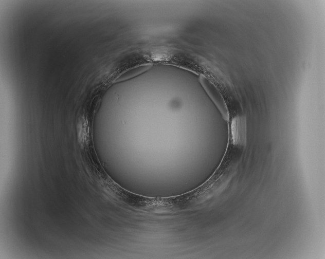 X0000115561443200911061544