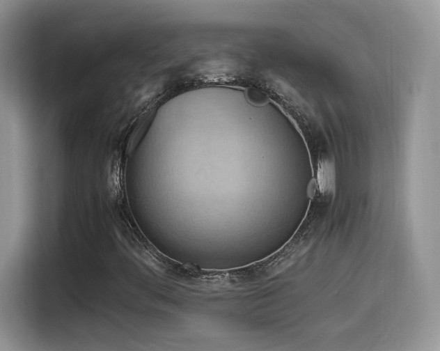 X0000115561444200911061544