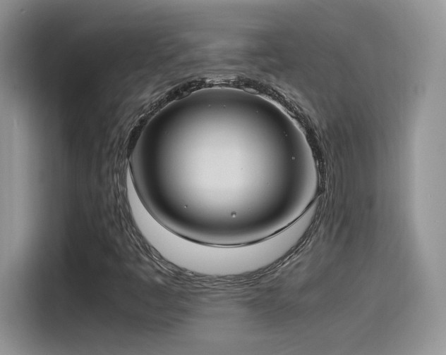 X0000115561445200911061544