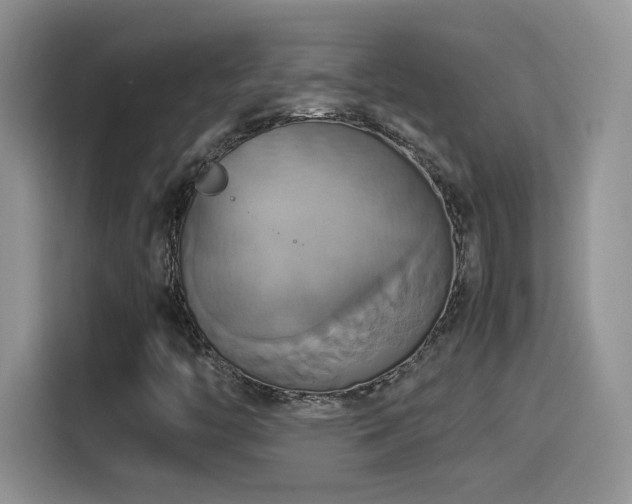 X0000115561446200911061543