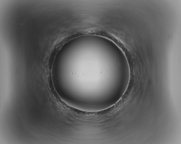 X0000115561447200911061543