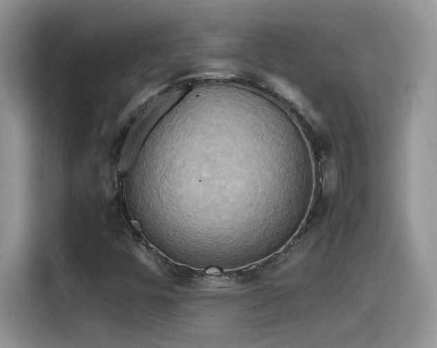 X0000115561448200911061543