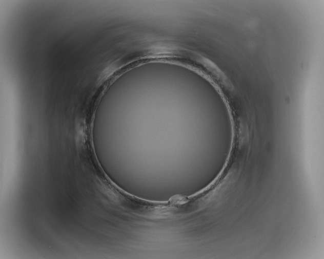 X0000115561449200911061543