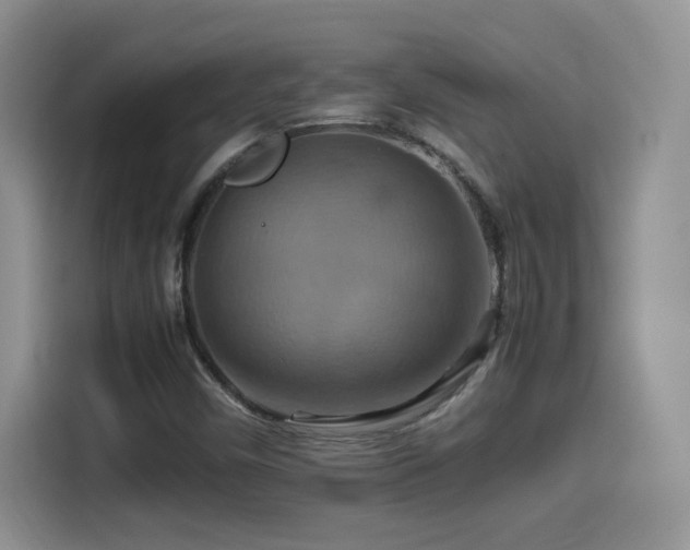 X0000115561450200911061543