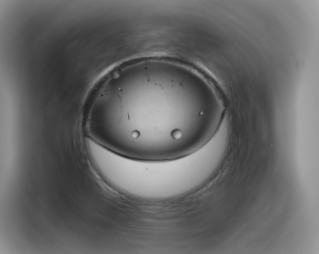 X0000115561452200911061543