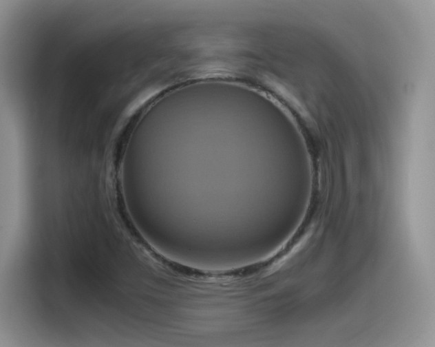 X0000115561453200911061543