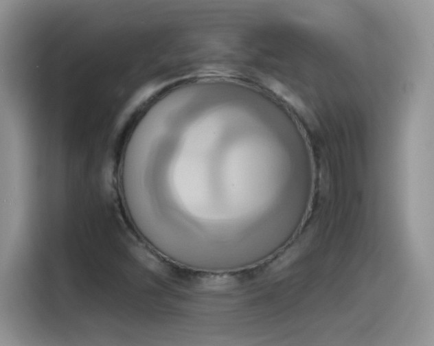 X0000115561454200911061543