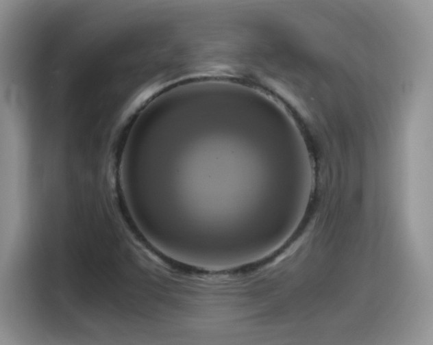 X0000115561455200911061543