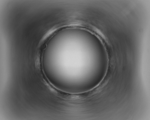 X0000115561456200911061543
