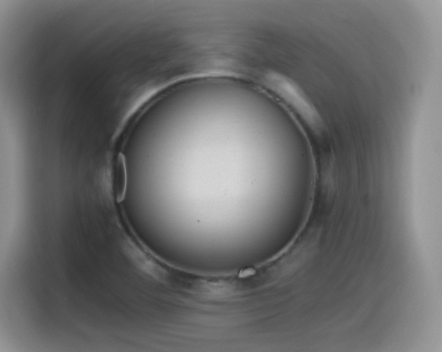 X0000115561460200911061543
