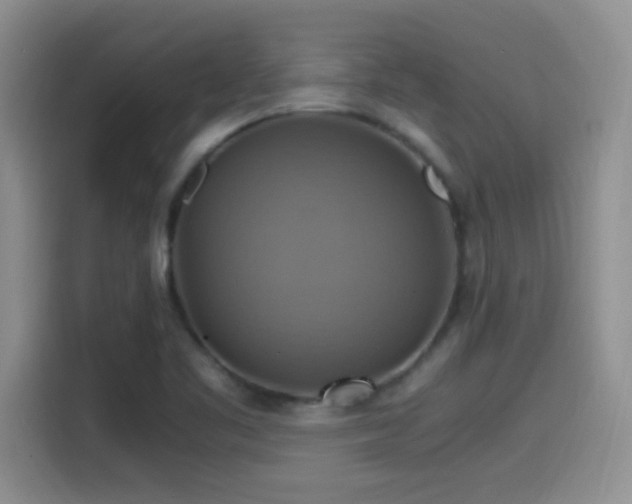 X0000115561461200911061543