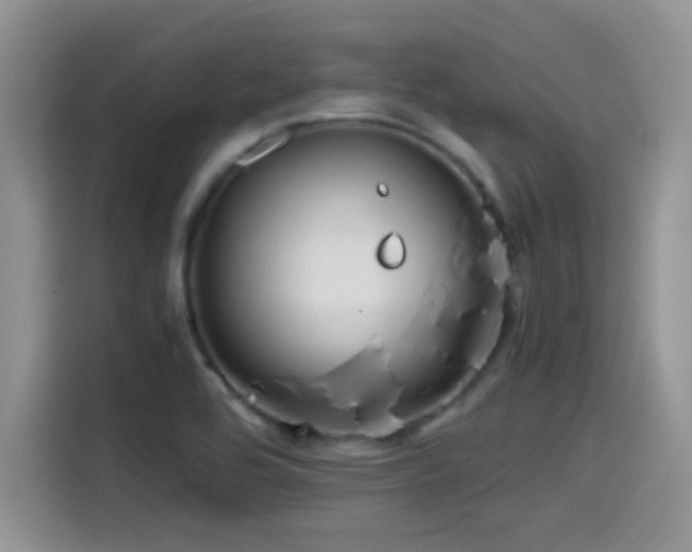 X0000115561464200911061543