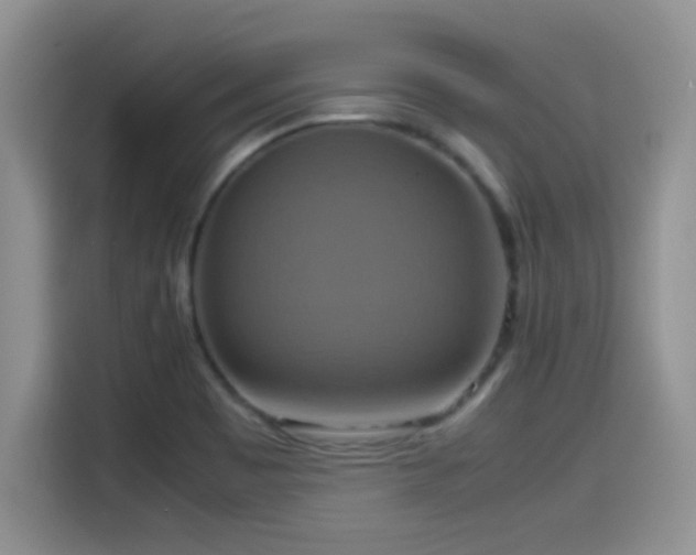X0000115561465200911061543