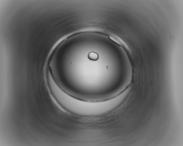 X0000115561468200911061543