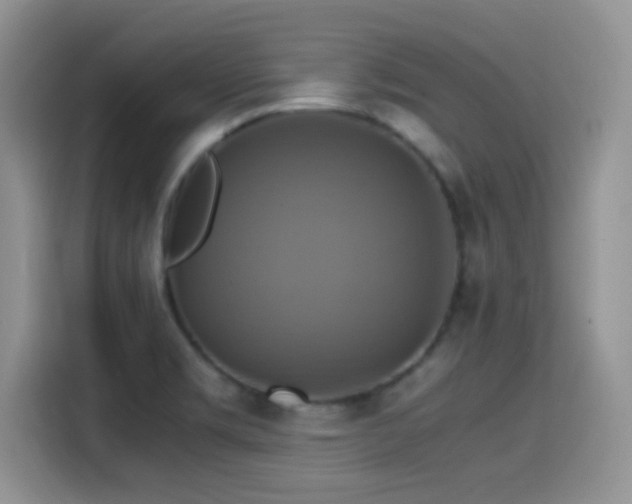 X0000115561469200911061543