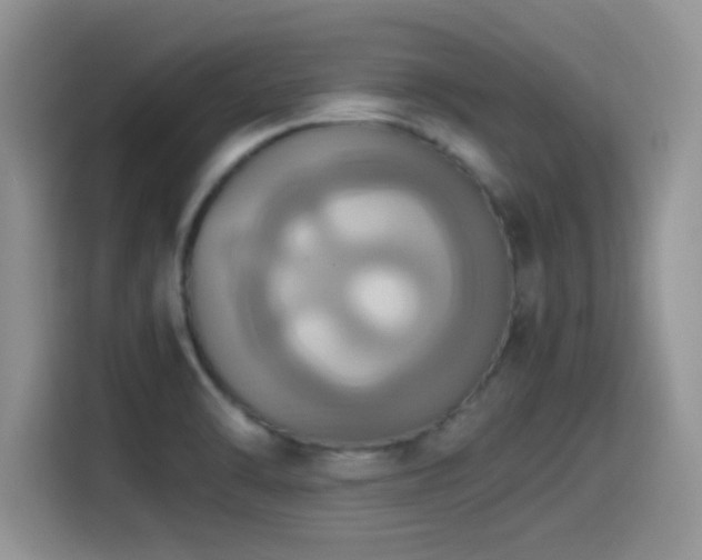 X0000115561470200911061543