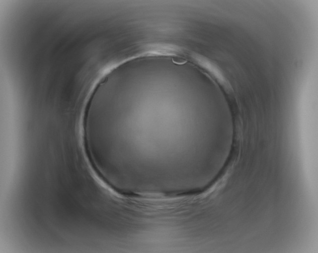 X0000115561471200911061543