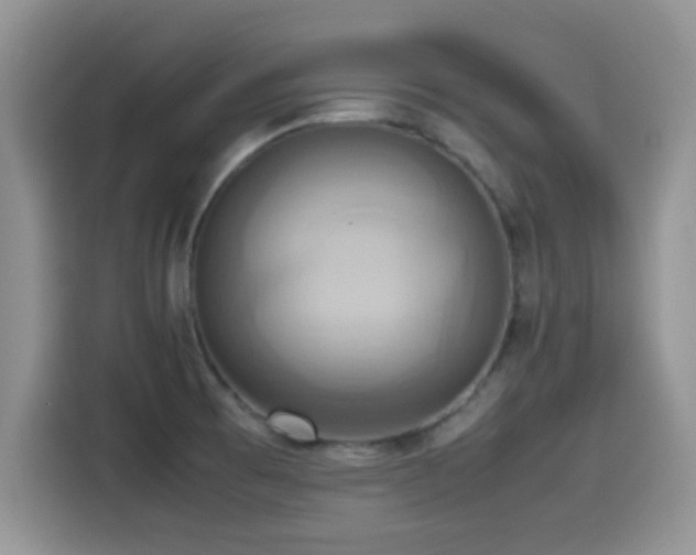 X0000115561473200911061543