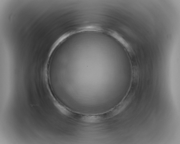 X0000115561474200911061543