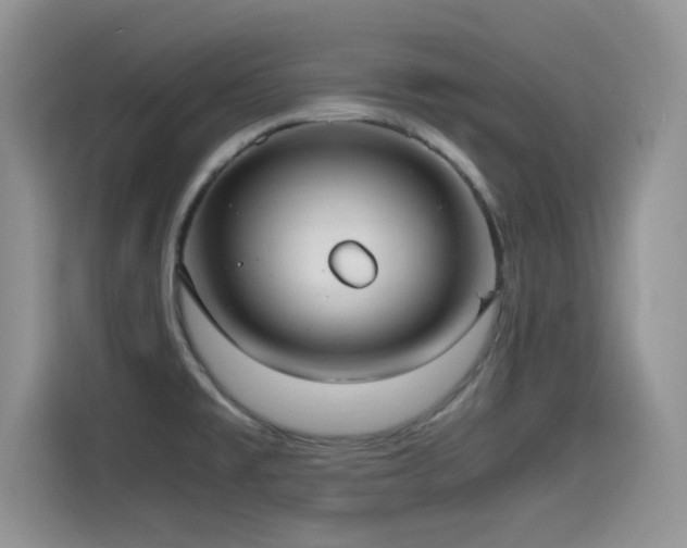 X0000115561477200911061543