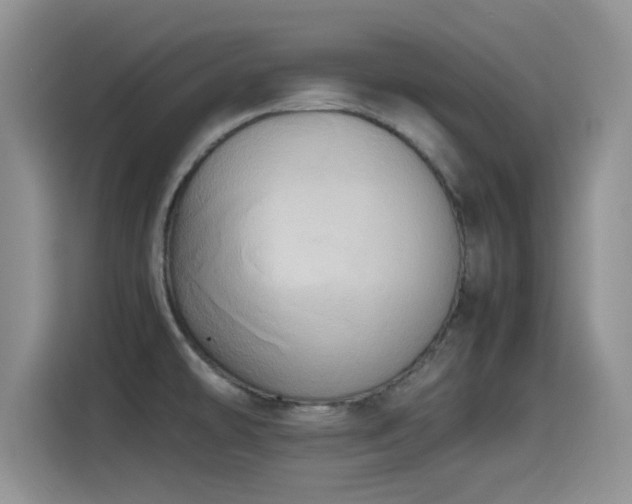 X0000115561478200911061543
