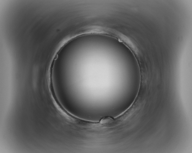 X0000115561479200911061543
