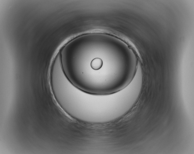 X0000115561480200911061543