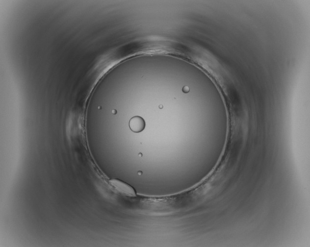 X0000115561481200911061543
