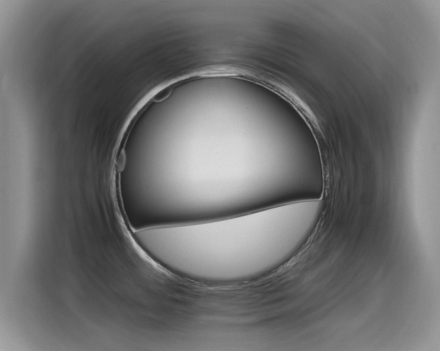 X0000115561484200911061543