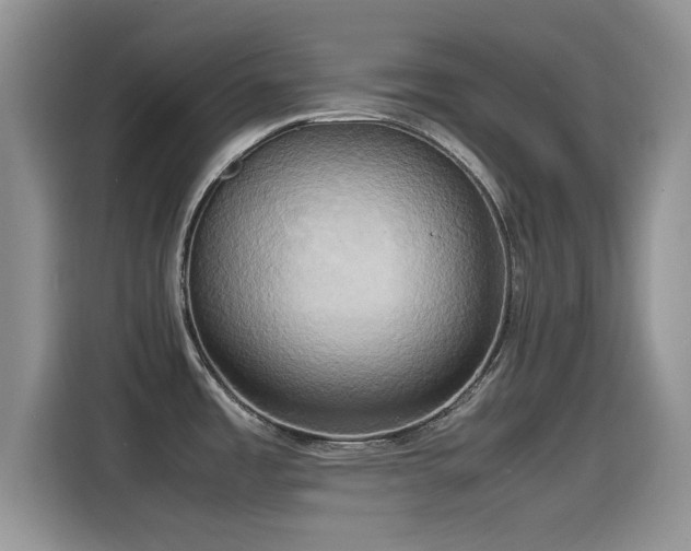 X0000115561485200911061543