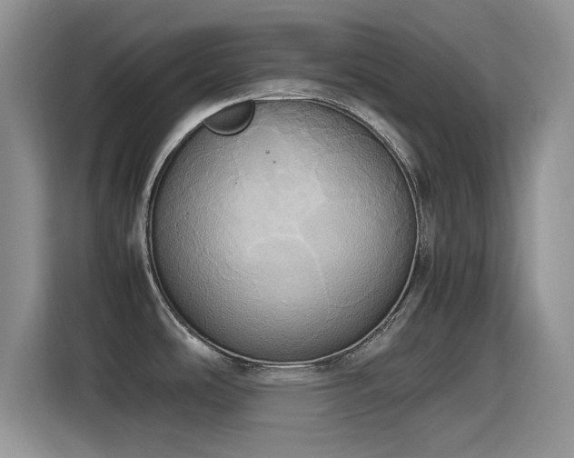 X0000115561486200911061543