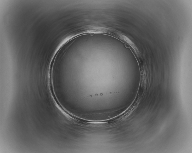 X0000115561487200911061543