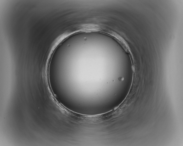 X0000115561488200911061543