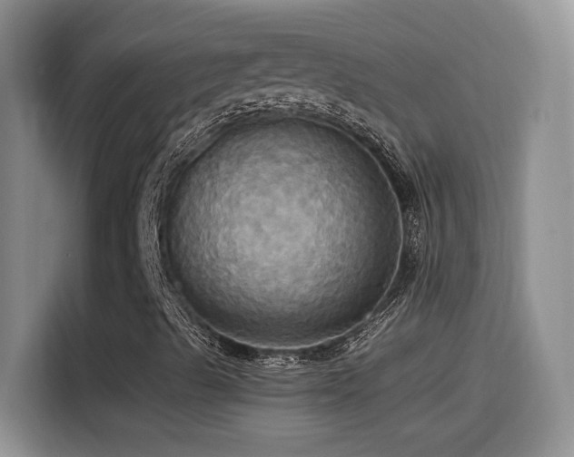 X0000115561489200911061542