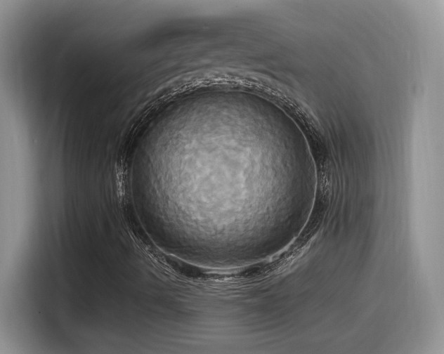 X0000115561490200911061542