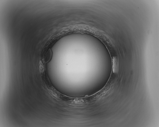 X0000115561491200911061542