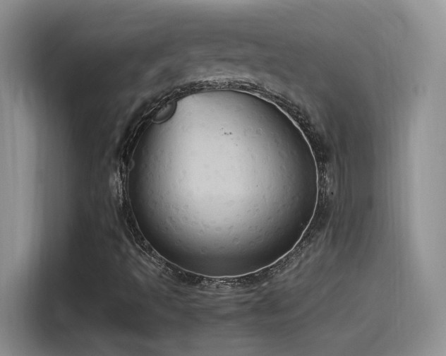 X0000115561493200911061542