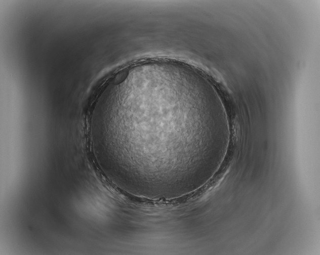 X0000115561494200911061542